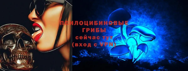 круглые Алексеевка