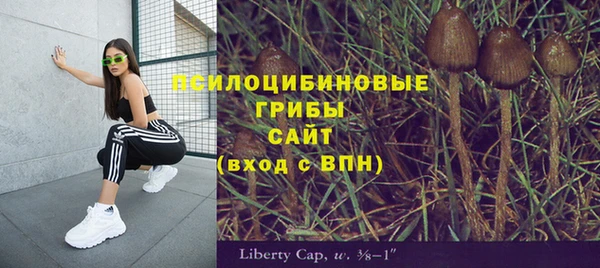 марки nbome Алзамай