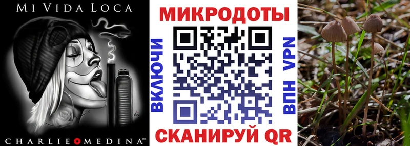 Галлюциногенные грибы Psilocybine cubensis Билибино